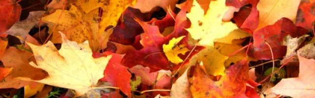 A la recherche du temps perdu