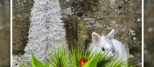 joyeux Noel 