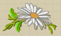 Marguerite mon amie.
