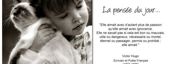 La pensée du jour (56)
