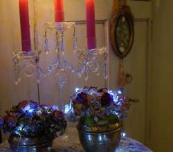 Noël 2018 : hortensia, roses etc...