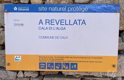 L'Alga - Calvi