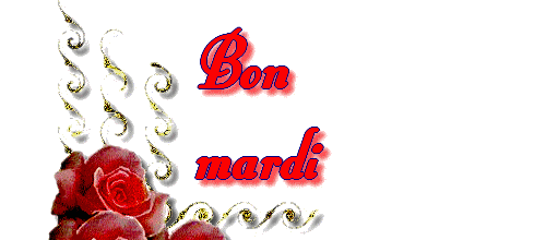 Quiz orthographe