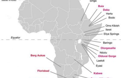 9 - Pléistocène moyen (-780/-126 ka): la diversification des Homo en Afrique (1)