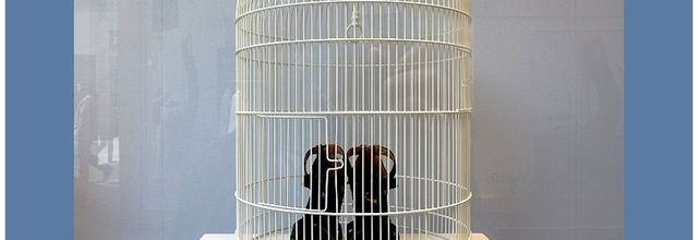 Metz / Ouvrons ouvrons la cage aux chaussures...