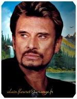 Fond ecran johnny hallyday003