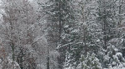 Déjà l'hiver .......