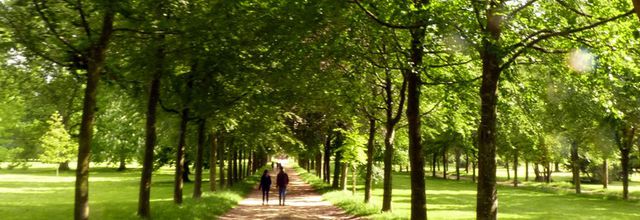 Versailles (7/8) : Le parc