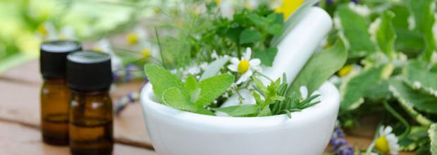 Du persil et de la camomille pour stimuler ses fonctions cérébrales