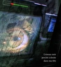 Téléchargez kindle books gratuitement au Royaume-Uni L'oiseau noir perché à droite dans ma tête CHM ePub DJVU 9782367441382 par Jean-Christian Bourcart (Litterature Francaise)