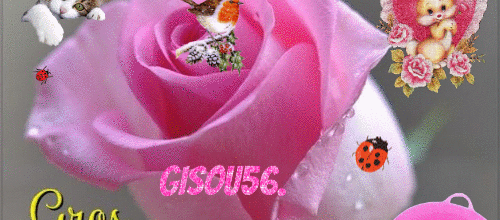 FLEUR ANIMAUX BON WEEK END
