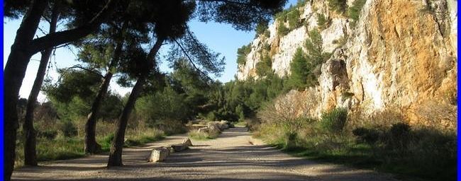 Calanques, le cap Caù