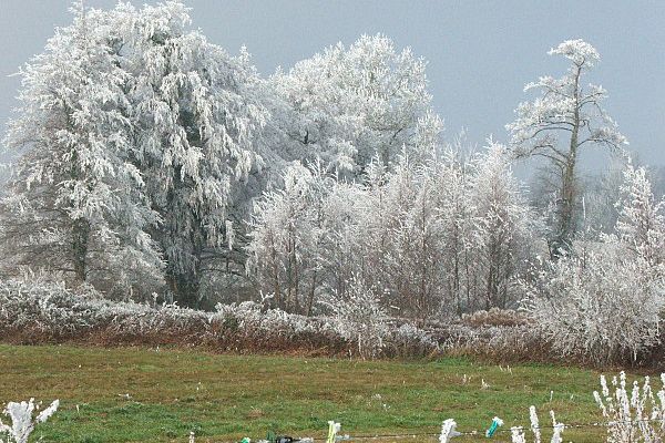 un avant gout de l'hiver en nord-gironde