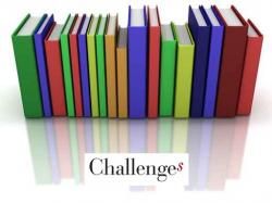Bilan des challenges 2013