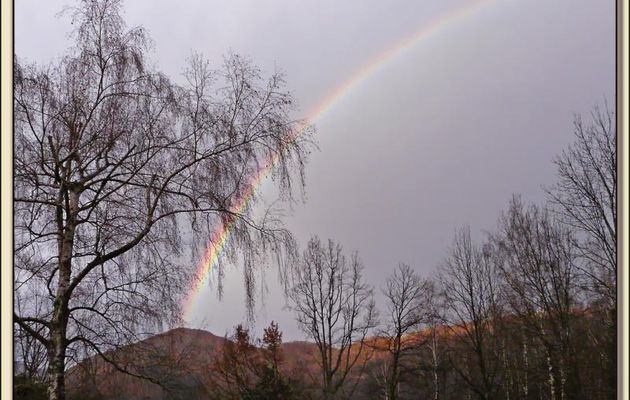 Paysages des Pyrénées (Année 2009)