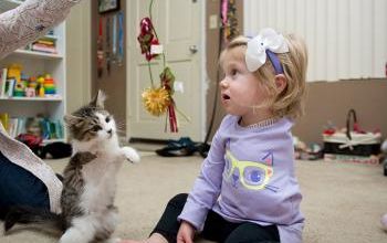 Un chat et une petite fille amputés d'un membre
