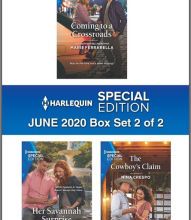 Free downloadable books for ipad Harlequin Special Edition June 2020 - Box Set 2 of 2