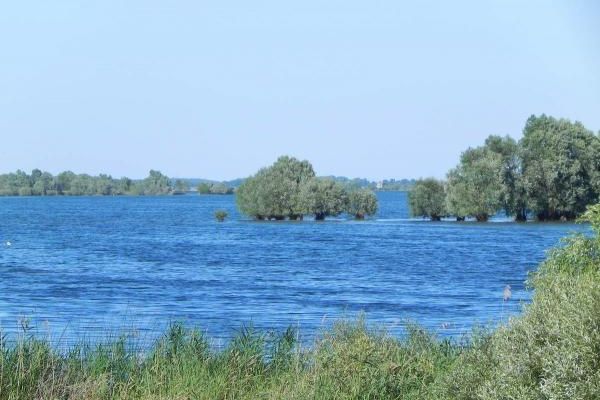 LAC D'ORIENT (1) près de TROYES