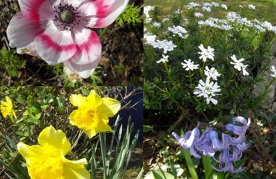 Ce week-end, perdre une heure et gagner un ado...