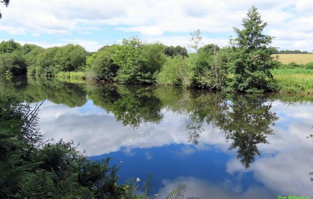 défi reflets d'Annie