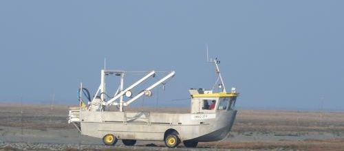 maman les ptis bateaux...