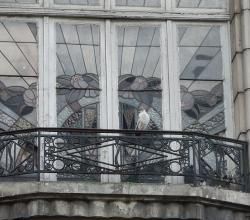 un pigeon au parfum