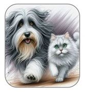 Compagnons ! cartonnettes 2025