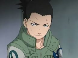 Shikamaru Nara 