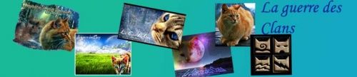 Passion guerres des clans