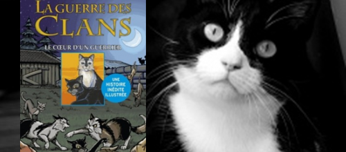 La Guerre des Clans illustré Tome 3