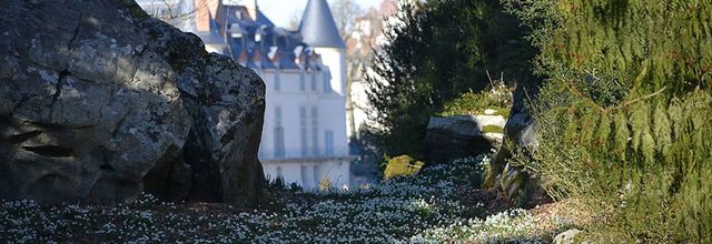 Un air de printemps : Le perce-neige