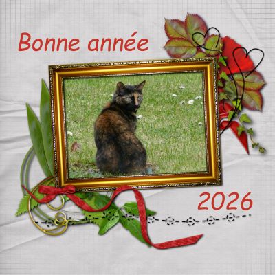 Bonne année 2026 !