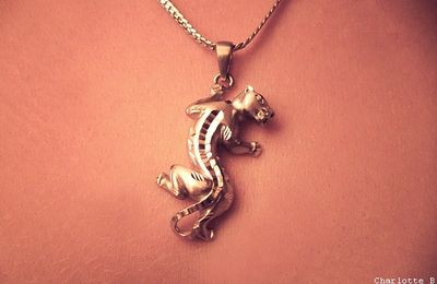 Le collier qui (va) me colle(r) à la peau...
