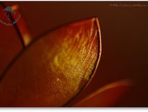 Ambiance...