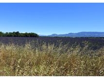 Sur le chemin du retour