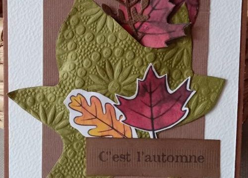 Scrap / C'est l'automne...