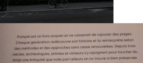 Exposition au Grand Palais,  Pompéi
