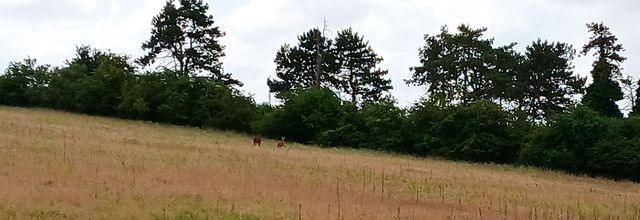 Rencontres