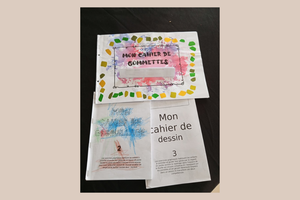 Cahier autonomie PS