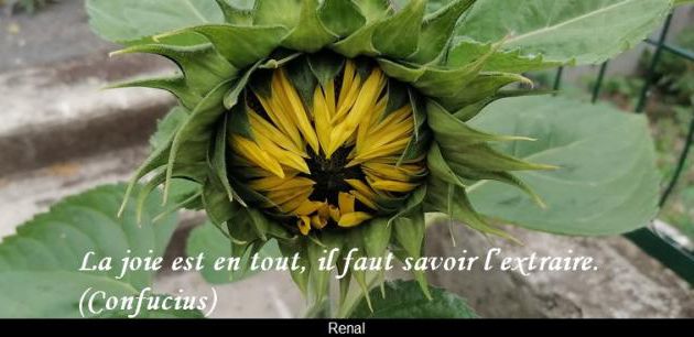 La joie...