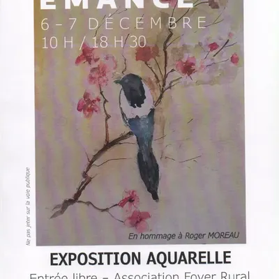 Exposition aquarelles à Émancé