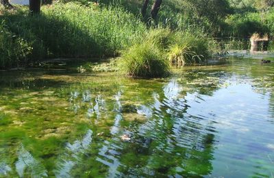 Reflets au Portugal