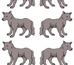 Déco de porte, déco de classe... avec des loups !