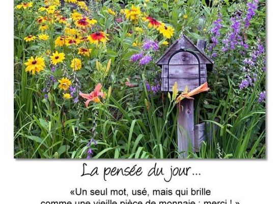 Merci