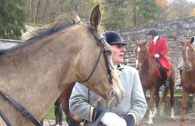 cavalier et cheval...