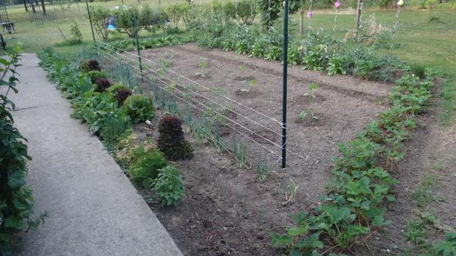 Le Potager