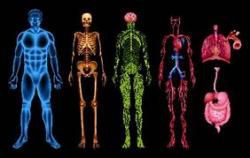 Relation entre les émotions et certaines maladies 