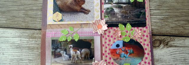Nouvelle page pour l'album sur le zoo de la Palmyre