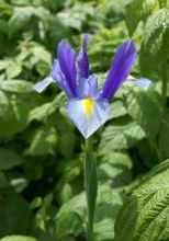 Avec le retour du printemps, le retour des balades...