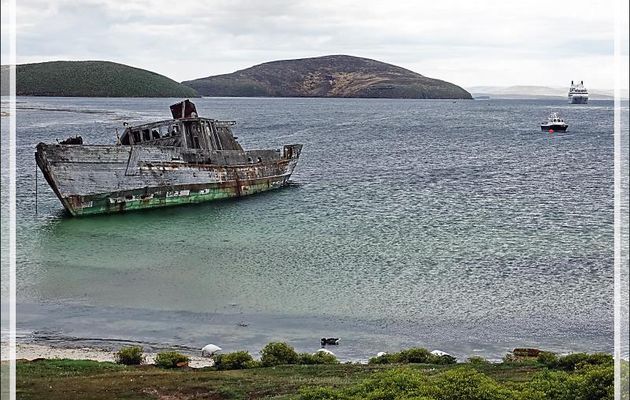 Dernier regard sur l'épave du Protector lll, triste vestige d'un passé meurtrier pour les mammifères marins - South Harbour - New Island - Falkland (Malvinas, Malouines) - Grande-Bretagne